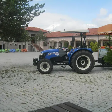Baskent Demiralan
